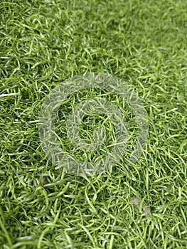 synthetic grass