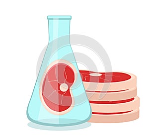 Synthetic meat is grown in the laboratory from stem cells. Artificial meat product, food technology of the future