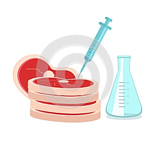 Synthetic meat is grown in the laboratory from stem cells. Artificial meat product, food technology of the future photo