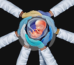 Synthetic Model Embryo