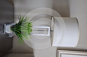 Synthetic plant and lampshade photo