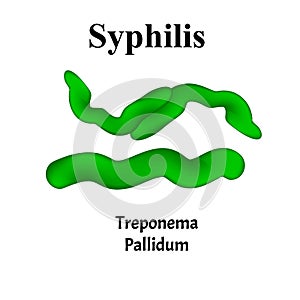 Syphilis. Treponema pallidum, Spirochaetaceae. Bacterial infections. Sexually transmitted diseases. Infographics. Vector