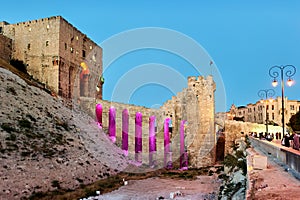 Syria. Aleppo. The Citadel