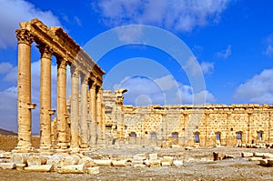 Syria - Palmyra (Tadmor) photo