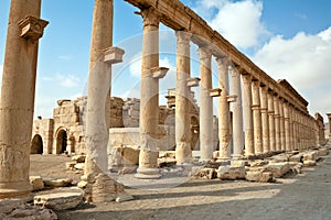 Syria - Palmyra (Tadmor) photo
