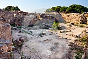 Syria - Ugarit ancient site near Latakia