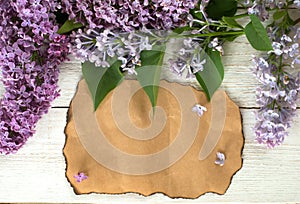 Syringa and Blank Paper