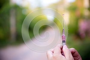 Syringe contained rabies vaccine