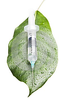 Syringe on a leaf