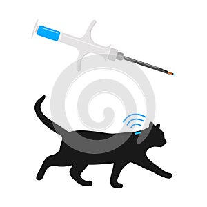 Syringe with microchip and walking cat silhouette with implant and RFID signal. Concept of pets microchipping, animals