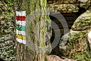System of tourist track signs painted on the tree by the rocks