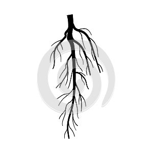 system tree root cartoon vector illustration
