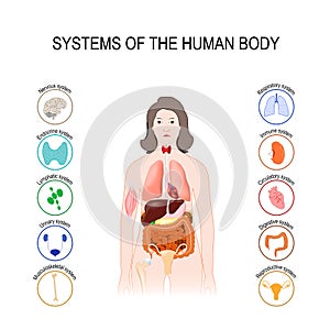 Systems of the human body