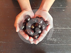 Syzygium cumini fruits on hand in black background.