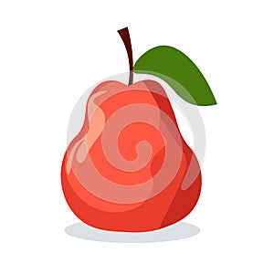 Syzygium samarangense or water apple fruit vector illustration, buah jambu or wax apple, red java apple