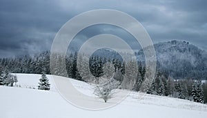 Szczeliniec Wielki the highest peak of the Table Mountains, Stolowe Mountains in Poland and Szczeliniec Maly.