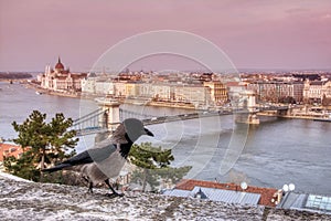 Szechenyi Chain bridge over Danube river, Budapest, Hungary