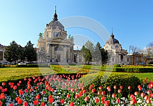 Szechenyi Spa with flower - Budapest, Hungary