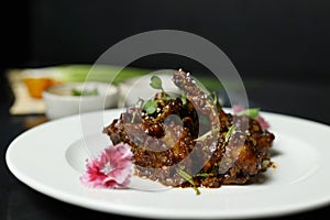 Szechuan Chicken which is a popular Indo-Chinese non vegetarian recipe. served in a plate with chilli sauce. selective focus photo