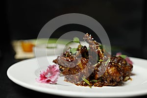 Szechuan Chicken which is a popular Indo-Chinese non vegetarian recipe. served in a plate with chilli sauce. selective focus photo