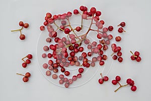 Szechuan pepper, berries and leaves on a white background Zanthoxylum piperitum