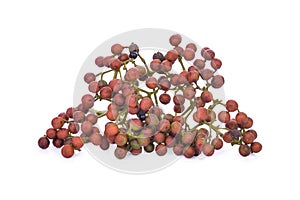 Szechuan pepper (Zanthoxylum piperitum), fruits isolated on whit photo