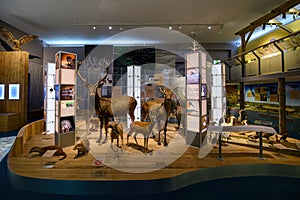 Interior of the Mora Ferenc Natural History and Ethnology Exhibits Museum in Szeged, Hungary