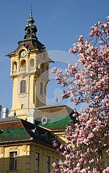 Szeged townhall