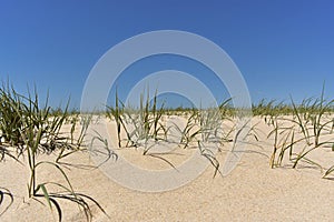 SÃÂ£o Jacinto - Distrito de Aveiro - Portugal photo