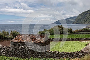 São Jorge is an Azores island in the Atlantic Ocean. It is separated from Pico Island by a strait 15 kilometers wide.