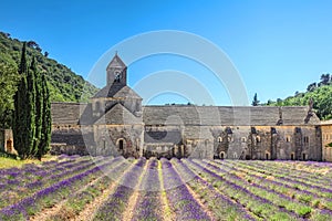 SÃ©nanque Abbey, Provence, France