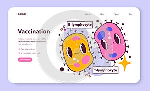 T and B types of lymphocytes. Human adaptive immune system. photo