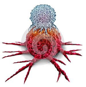 T Cell Attacking Cancer Tumor photo