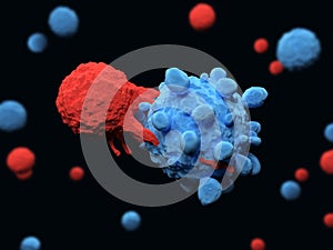 T cell attacks a cancer cell