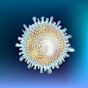 T Cell or T Lymphocyte. Type of white blood cells. Immune system