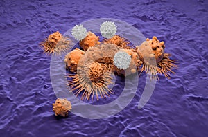 T-cells attack carcinoma cells field in kidney cancer - top view 3d illustration