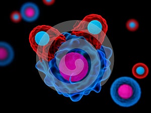 T cells attacking cancer cells