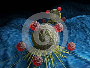 T cells attacking cancer cells