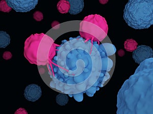 T cells attacking cancer cells