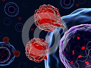 T cells attacking human cells with CRISPR-Cas9 system photo