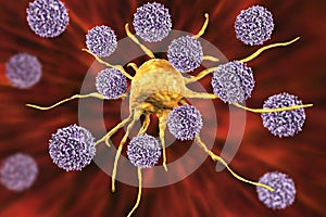 T-lymphocytes attacking cancer cell