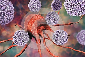 T-lymphocytes attacking cancer cell photo