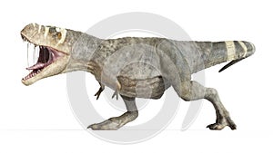 A T-rex photo