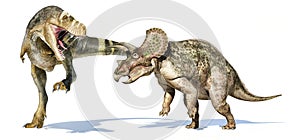 T-rex dinosaur attacking a triceratops