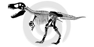 T-Rex dinosaur fossil skeleton. Education illustration