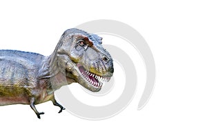 T rex dinosaur isolated on white