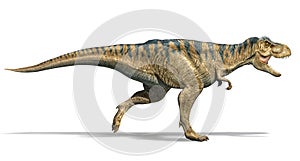 T-rex dinosaur running. side view