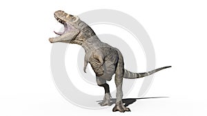 T-Rex Dinosaur, Tyrannosaurus Rex reptile roars, prehistoric Jurassic animal isolated on white background, 3D rendering