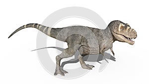 T-Rex Dinosaur, Tyrannosaurus Rex reptile standing, prehistoric Jurassic animal isolated on white background, 3D rendering