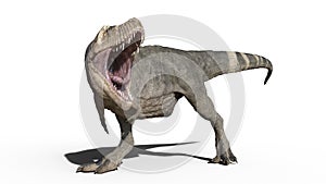 T-Rex Dinosaur, Tyrannosaurus Rex reptile walking, prehistoric Jurassic animal isolated on white background, 3D rendering